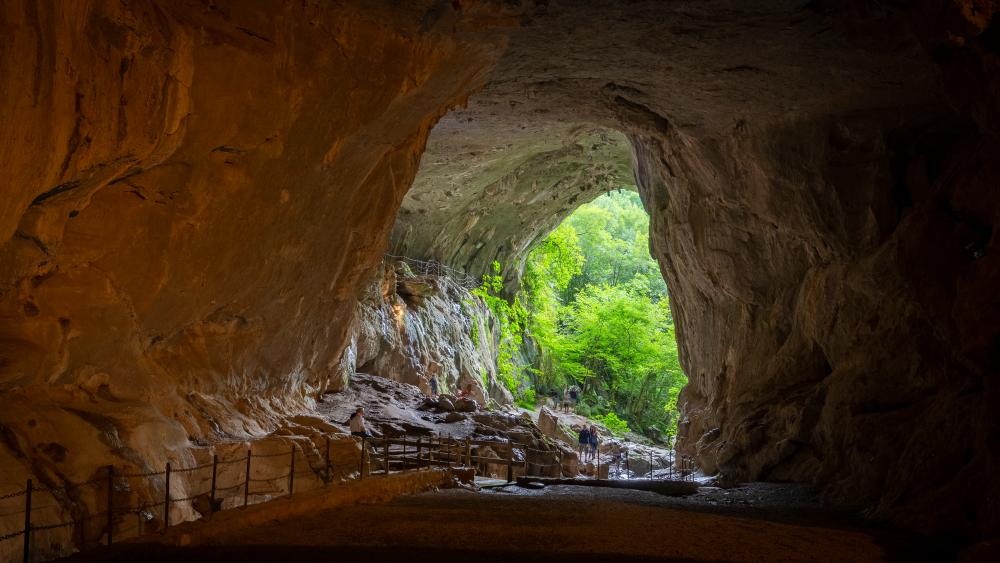 cueva grandiosa con bosques de fondo